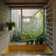 an indoor garden is shown with plants in the window sill and on the wall