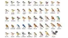 the birds are all different colors and sizes on this page, with words written below them