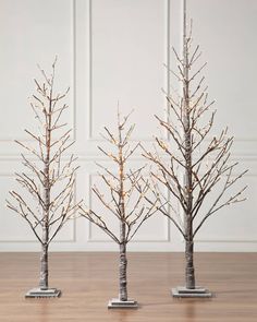 three small trees with no leaves on them in front of a white wall and wooden floor