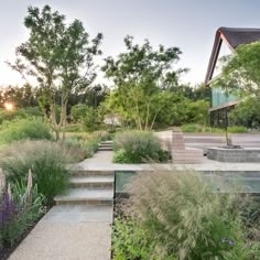 an outdoor garden with steps leading up to it