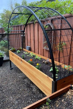 an outdoor garden with plants growing in the ground and attached to a fenced area