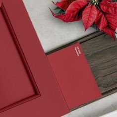 a poinsettia plant sitting on top of a counter next to a red door