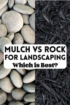 rocks and mulch with the words mulch vs rock for landscaping which is best?