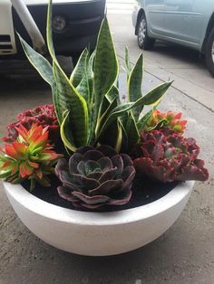 a planter with succulents and other plants in it on the sidewalk