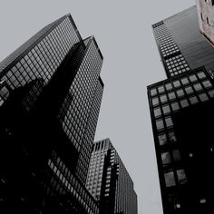 black and white photograph of skyscrapers in new york city