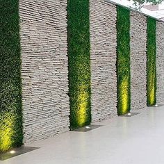 a row of stone walls with green plants growing on them and lights in the middle