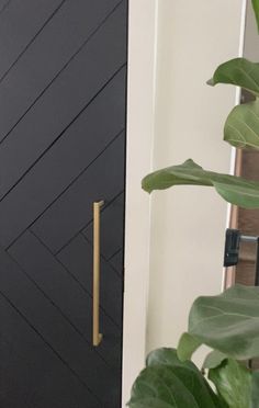 a black door with a gold handle next to a plant