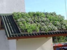 a green roof with plants growing on it