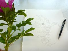 a person holding a pen and drawing on paper with flowers next to it in the foreground