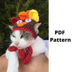 a cat wearing a knitted turkey hat and scarf with the caption, free crochet pattern