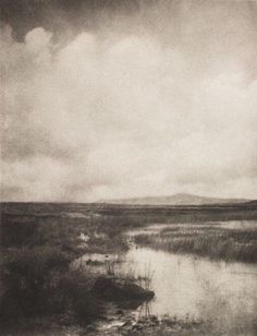 a black and white photo of a marshy area with clouds in the sky above