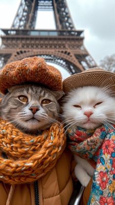 two cats are wearing hats and scarves in front of the eiffel tower