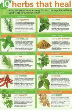 Herbs Herb Gardening, Healing Plants, Makanan Diet, Herbs For Health, Healing Food, Healing Herbs, Natural Health Remedies, Detox Smoothie, Natural Home Remedies