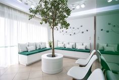 a living room filled with white furniture and a tree in the middle of the room