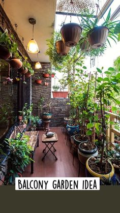 an outdoor patio with lots of potted plants on the wall and wooden flooring