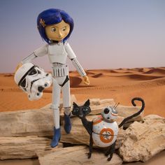 a star wars action figure with two cats and a cat on a rock in the desert