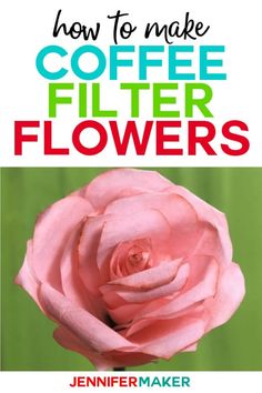 a pink rose with the words how to make coffee filter flowers on it's side