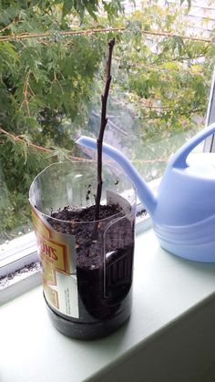 a potted plant with dirt in it on a window sill next to a watering hose