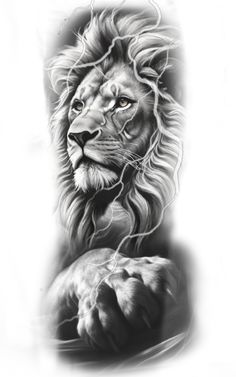 a black and white drawing of a lion with its head turned to the side,