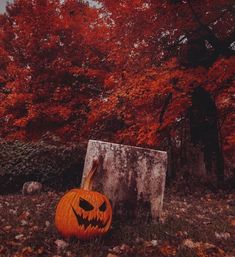 a pumpkin sitting in the grass next to a cement box