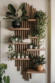 some plants are sitting on wooden shelves in front of a wall mounted planter that is made out of wood slats