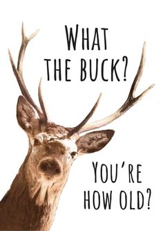 a deer with antlers on it's head and the words, what the buck? you're how old?