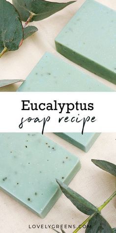 eucalyptus soap recipe with text overlay