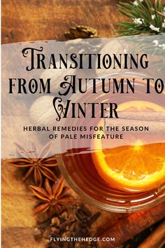 an orange and cinnamon drink with the title transitioning from autumn to winter herb remedes for the season of pale mislea