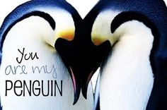 two penguins are touching each other with their beaks and the words you are my penguin