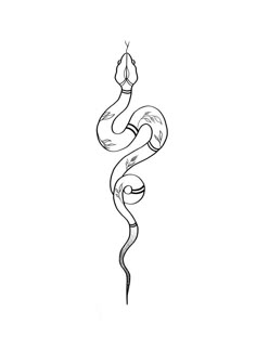 a black and white drawing of a snake with its tail curled in the shape of a heart