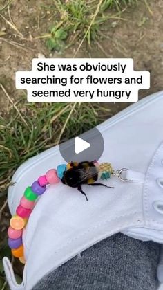 a small insect sitting on top of someone's white shoe with beads around it