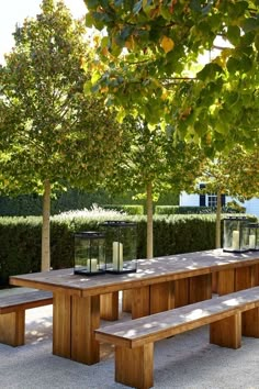 a wooden table with two benches under trees and lanterns on the top, in front of some bushes