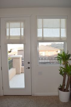 two doors with blinds open in front of a door and a potted plant on the floor