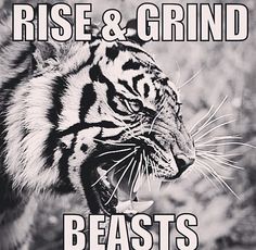 a black and white photo of a tiger with the words rise & grind beasts on it