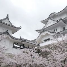 the white building is surrounded by cherry blossoms