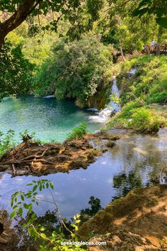 a small river surrounded by lush green trees