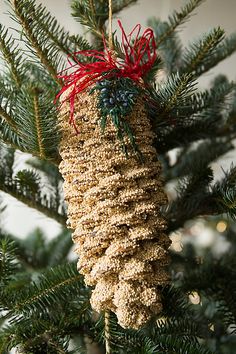 a pine cone ornament hanging from a christmas tree with red ribbon on it