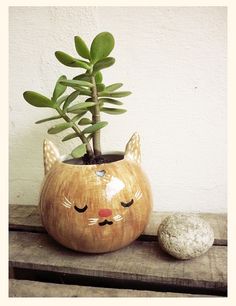 a plant in a cat shaped pot next to a rock