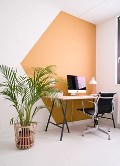 an office with a desk, chair and potted plant