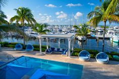 an outdoor swimming pool with lounge chairs and palm trees in the foreground, surrounded by boats