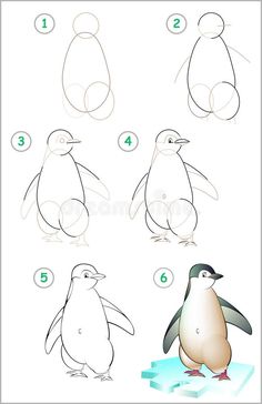 how to draw a penguin step by step drawing for kids and beginners with pictures