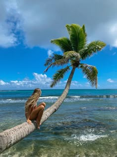 a woman sitting on top of a palm tree next to the ocean