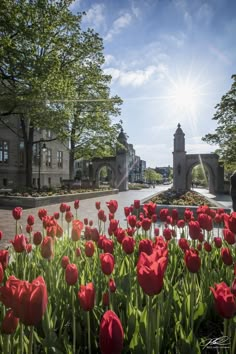 The Sample Gates at Indiana University University Of Indianapolis