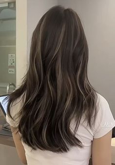 Cool Toned Dark Brown Hair With Highlights, Asian Long Hair Highlights, Asian Partial Highlights, Soft Highlights For Black Hair, Dark Ash Brown Hair Color With Highlights, Asia Hair Colour, Darker Hair Ideas, Light Brown Streaks On Dark Hair, Brown Hair Minimal Highlights