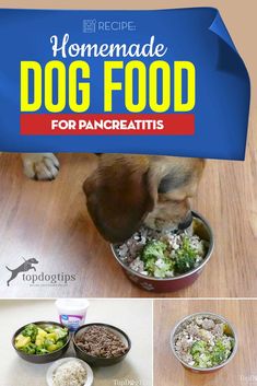 a dog eating food out of a bowl with the title homemade dog food for pancreatis