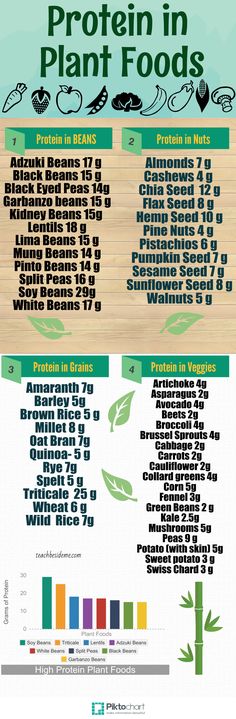 Protein in Plant Foods #vegan #infographic Belly Fat Loss Workout, Protein In Beans, Fruit Diet, Bodybuilding Diet, Fasting Diet, Fat Loss Diet, Plant Food