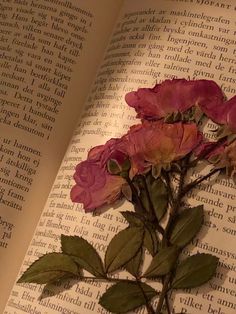 some pink flowers on top of an open book