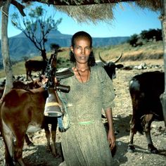 a woman standing in front of some cows with a bell on her shoulder and another cow behind her