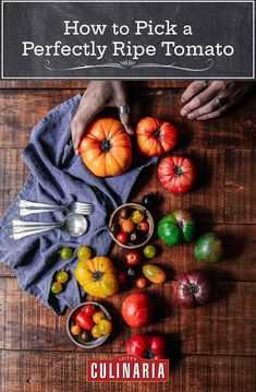 the cover of how to pick a perfectly ripe tomato by cunnaria cookbook