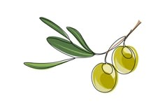 Olive Tree Print, Olive Tree Vector, Olive Tree Design, Olive Oil Illustration, Olives Drawing, Olive Tree Illustration, Olive Tree Drawing, Olives Illustration, Olive Tree Logo